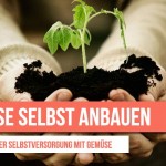 Gemüse selbst anbauen – Die Vorteile der Selbstversorgung mit Gemüse