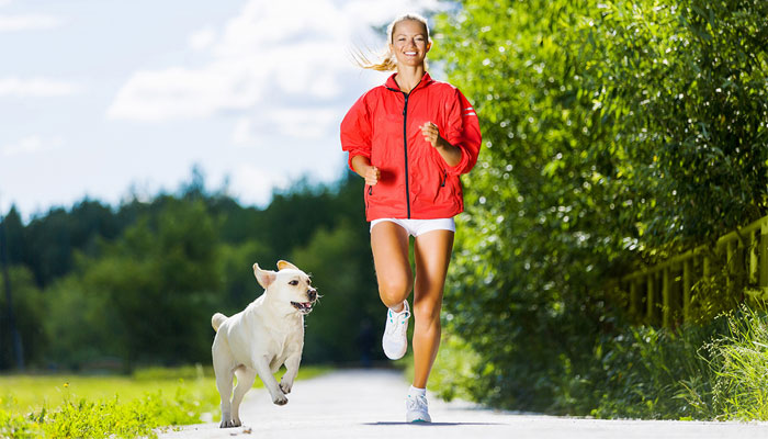 joggen mit hund