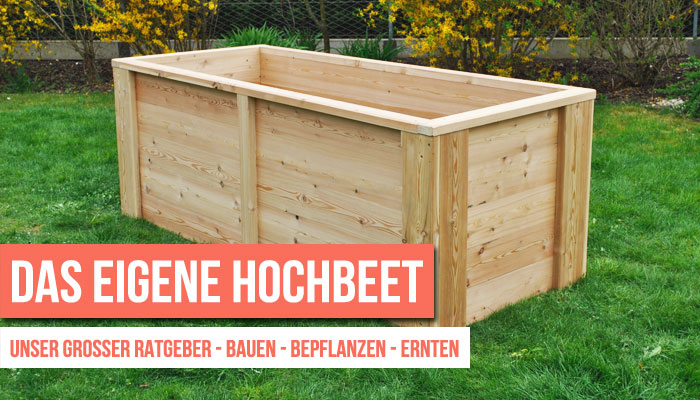 hochbeet ratgeber