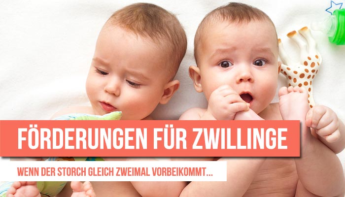 foerderungen-fuer-zwillinge
