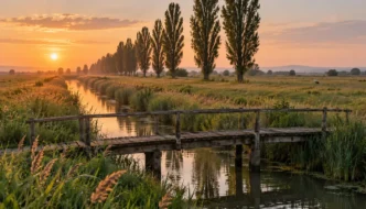 Holzbrücke über einen Kanal im burgenländischen Flachland bei Sonnenuntergang (Illustration)